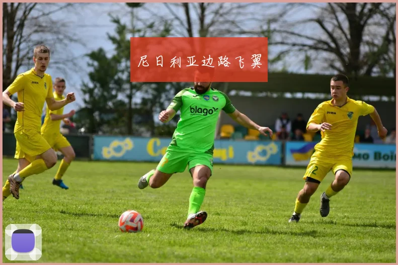 尼日利亚边路飞翼