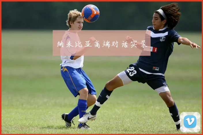 纳米比亚高端对话实录