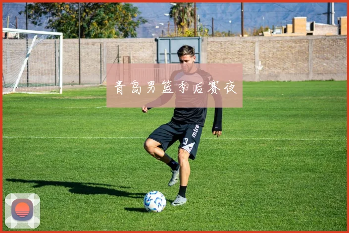 青岛男篮季后赛夜