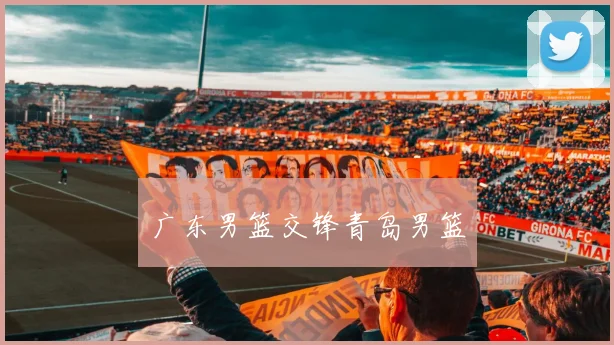 广东男篮交锋青岛男篮