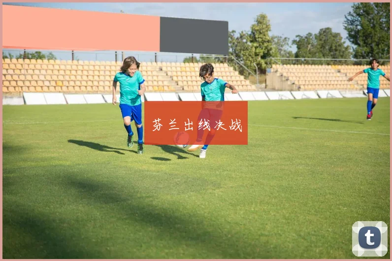 芬兰出线决战