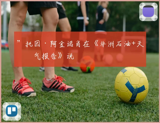 ”托因·阿金诺肖在《非洲石油+天然气报告》说
