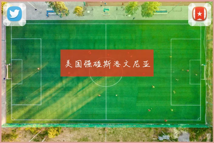 美国强碰斯洛文尼亚