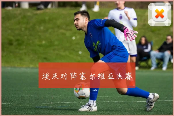 埃及对阵塞尔维亚决赛