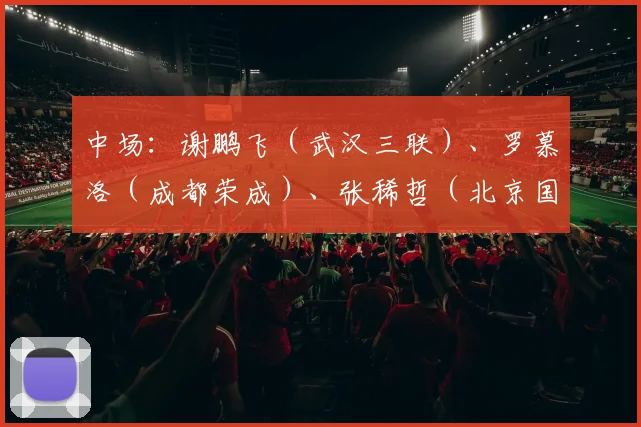 中场：谢鹏飞（武汉三联）、罗慕洛（成都荣成）、张稀哲（北京国安）、奥斯卡（上海港）