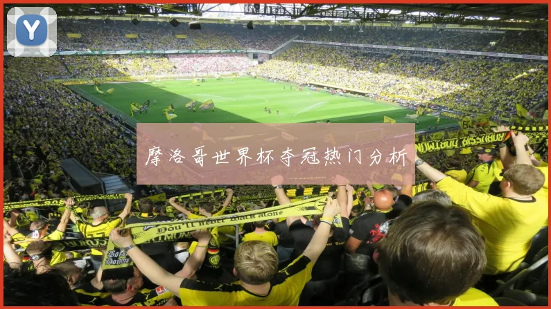 摩洛哥世界杯夺冠热门分析