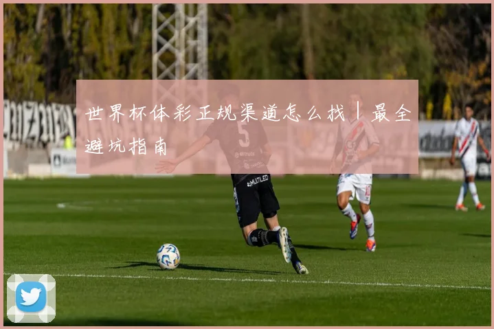 世界杯体彩正规渠道怎么找｜最全避坑指南