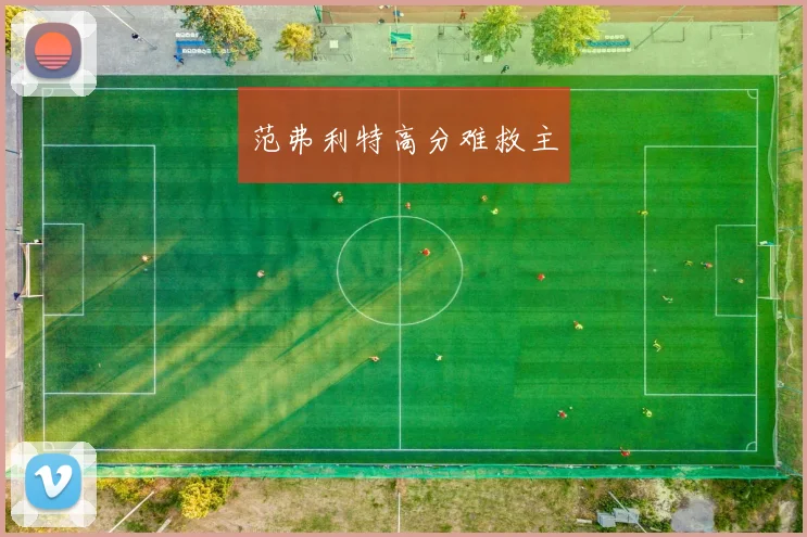范弗利特高分难救主
