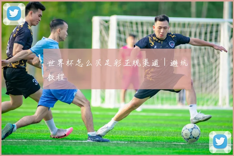 世界杯怎么买足彩正规渠道｜避坑教程