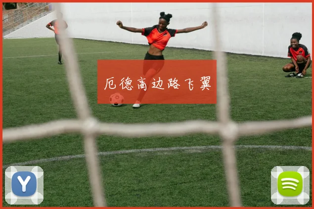 厄德高边路飞翼