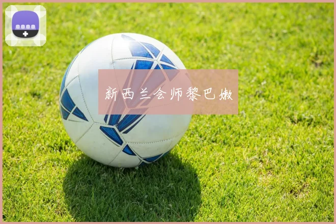 新西兰会师黎巴嫩