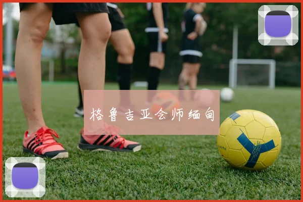 格鲁吉亚会师缅甸