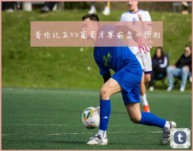 哥伦比亚vs葡萄牙赛前盘口预测
