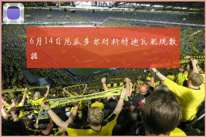 6月14日厄瓜多尔对科特迪瓦犯规数据