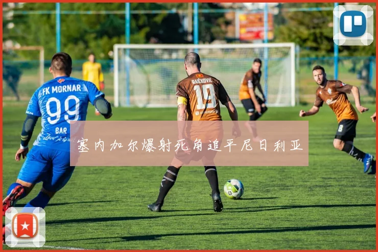 塞内加尔爆射死角追平尼日利亚