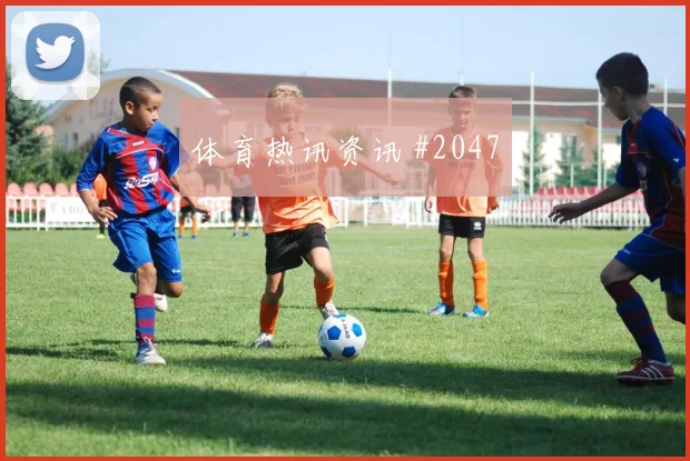 美国vs土耳其2026世界杯核心球员