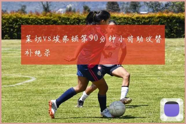 莱切vs埃弗顿第90分钟小将助攻替补绝杀